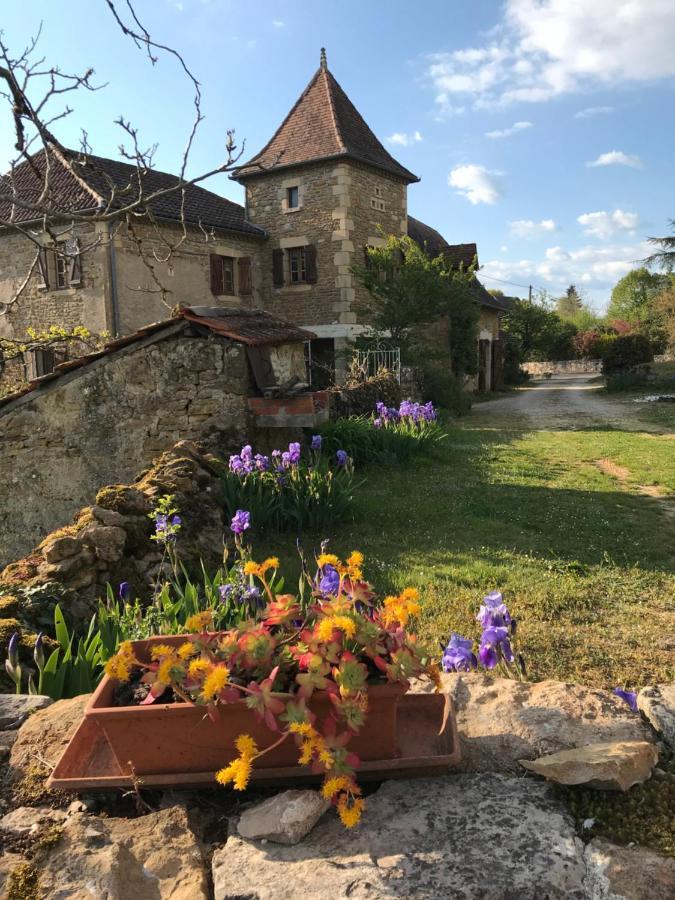 Отель La Maison D Helene Cambes  Экстерьер фото